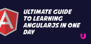 Ultimate guide to learning AngularJS in one day